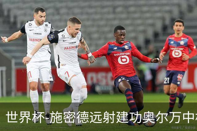 世界杯-施密德远射建功奥尔万中框 半场奥地利1-0约旦
